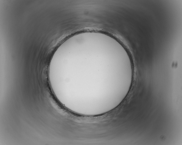 X0000114010009200910231825