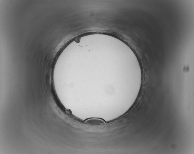 X0000114010011200910231825