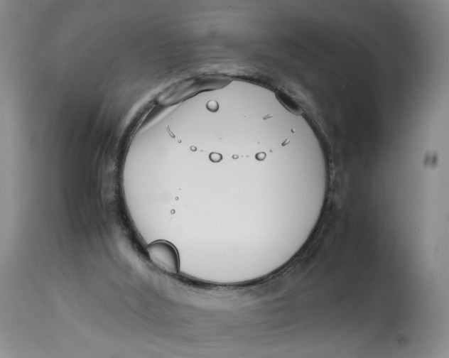 X0000114010012200910231825