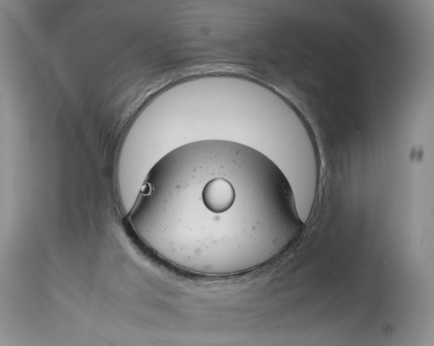 X0000114010013200910231825