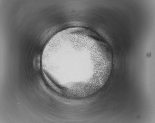 X0000114010014200910231825