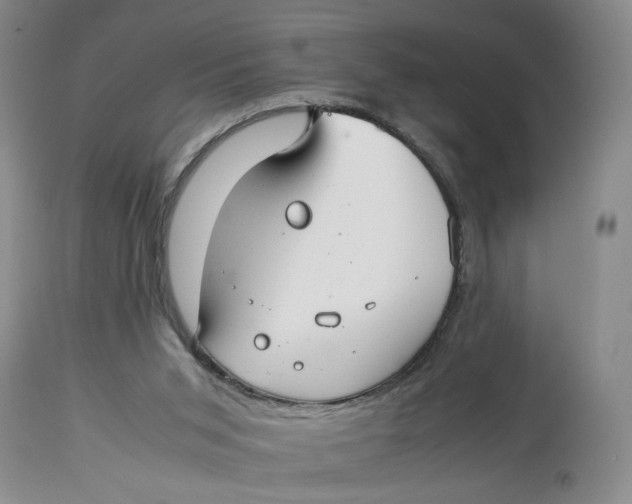 X0000114010015200910231825