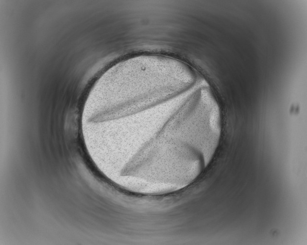 X0000114010016200910231825