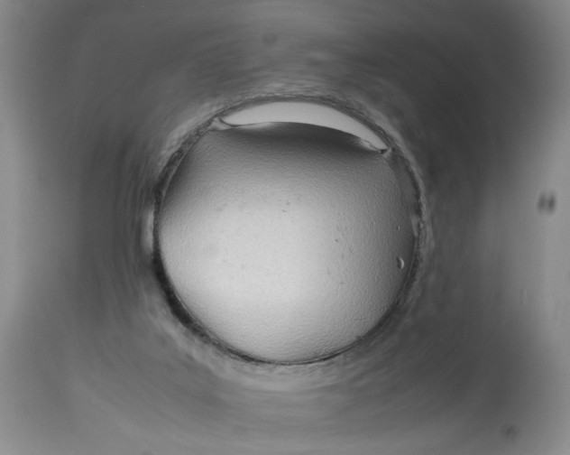 X0000114010019200910231825