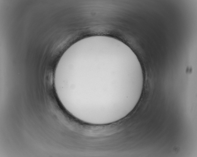 X0000114010021200910231825