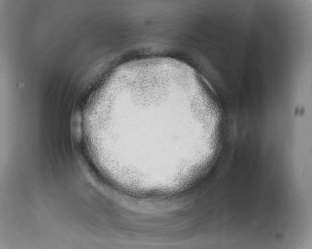 X0000114010022200910231825