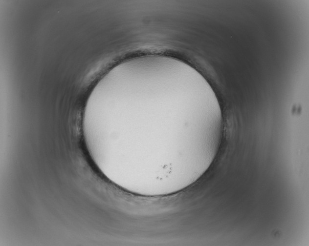 X0000114010023200910231825