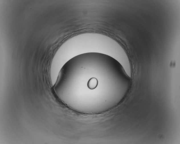 X0000114010029200910231825