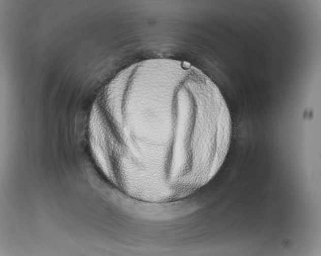 X0000114010030200910231825