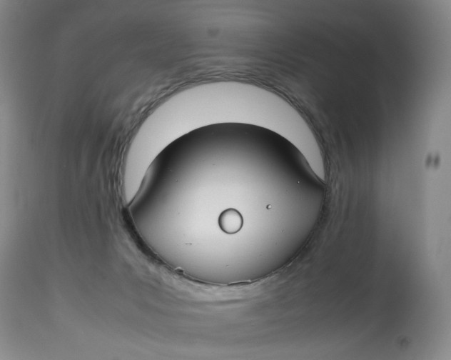 X0000114010031200910231825