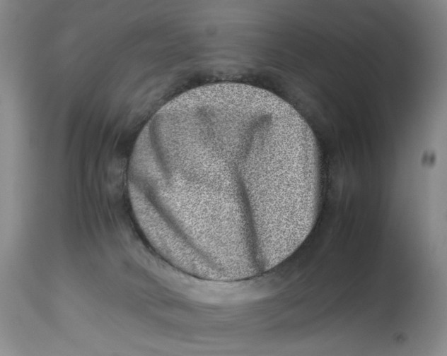 X0000114010034200910231825