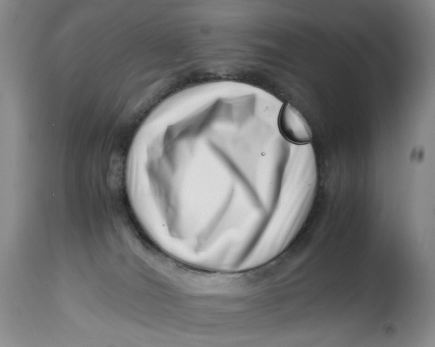 X0000114010036200910231825