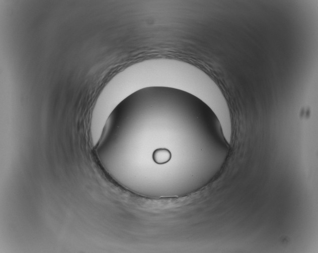 X0000114010037200910231825