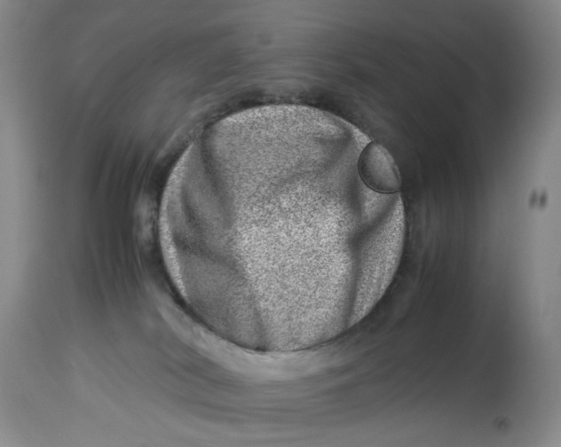 X0000114010038200910231825