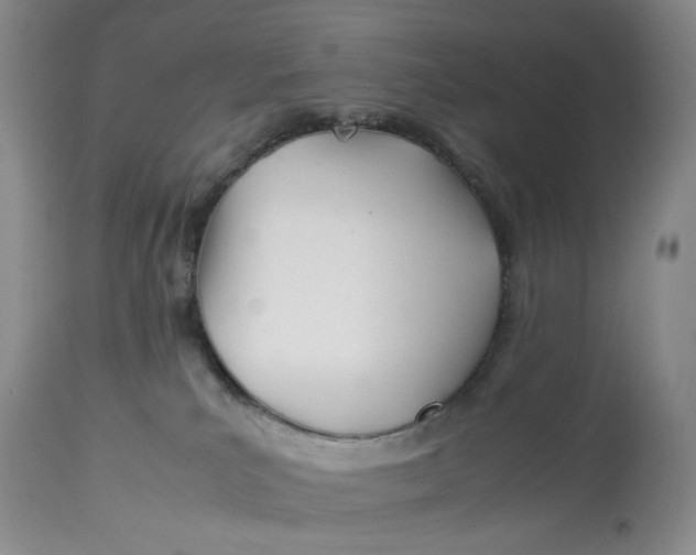 X0000114010039200910231825