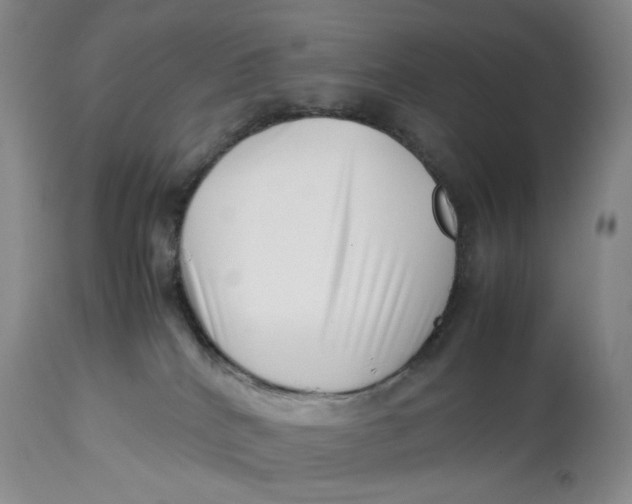 X0000114010040200910231825