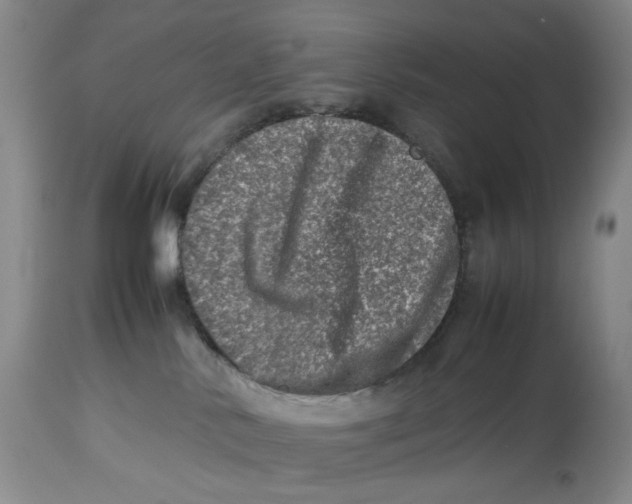 X0000114010042200910231825