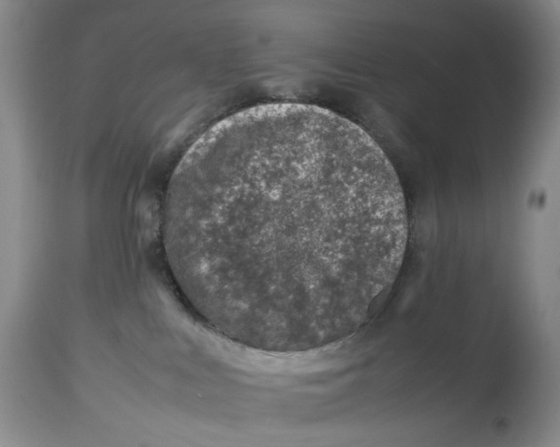 X0000114010043200910231825