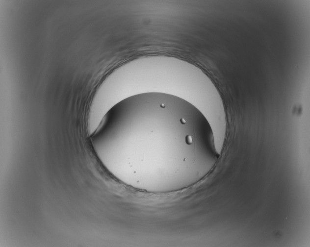 X0000114010045200910231824