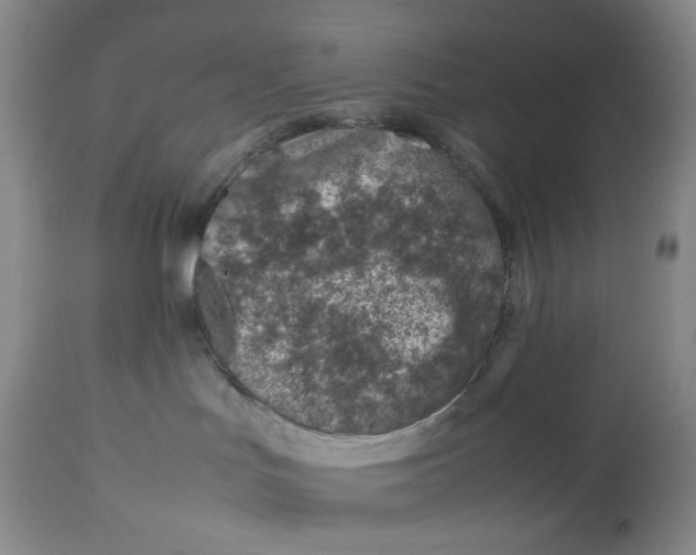 X0000114010047200910231824