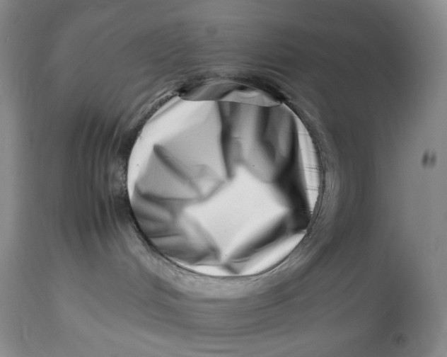 X0000114010048200910231824