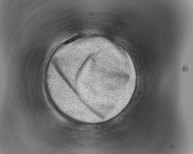 X0000114010049200910231824