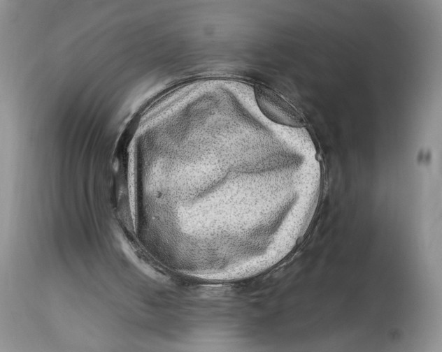 X0000114010050200910231824