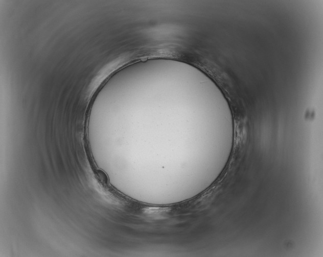 X0000114010051200910231824