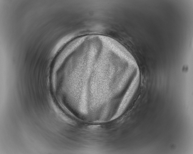 X0000114010054200910231824