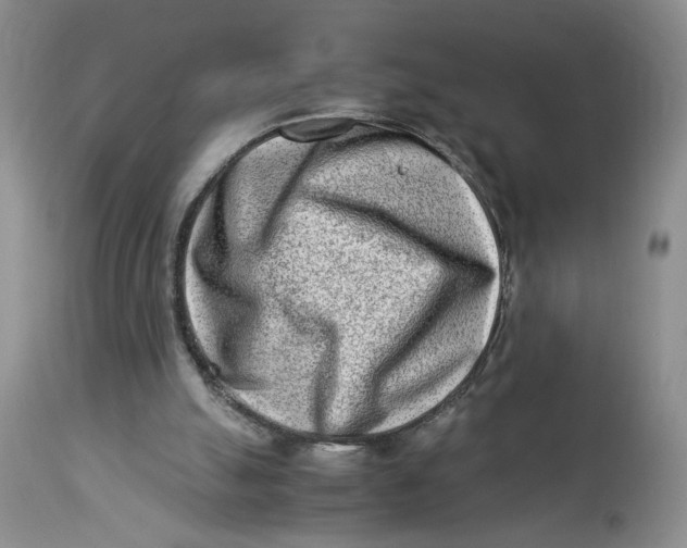 X0000114010055200910231824