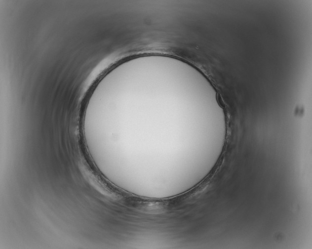 X0000114010056200910231824