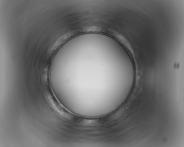 X0000114010057200910231824