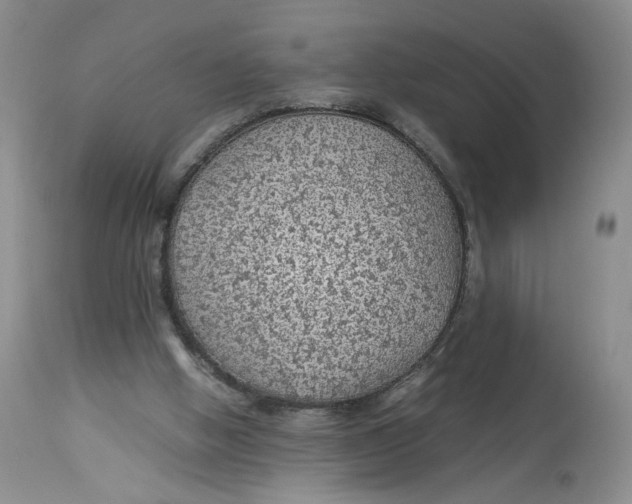 X0000114010058200910231824