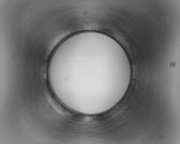 X0000114010060200910231824