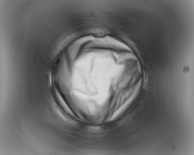 X0000114010061200910231824