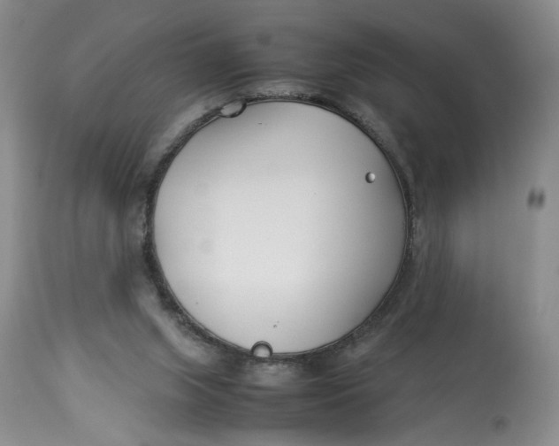 X0000114010063200910231824