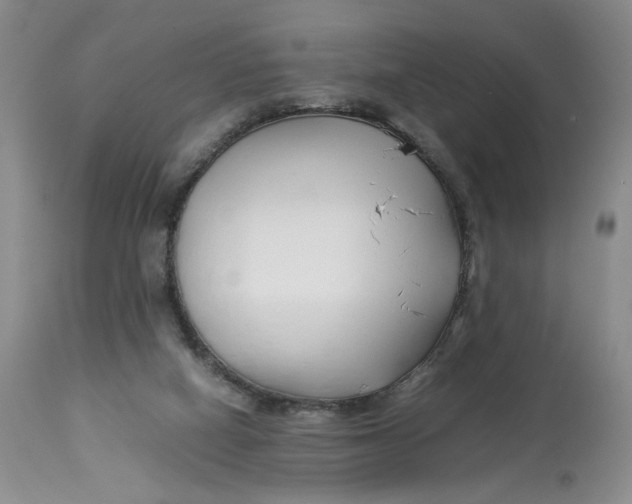 X0000114010066200910231824