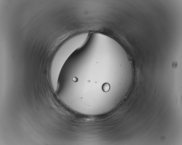 X0000114010068200910231824