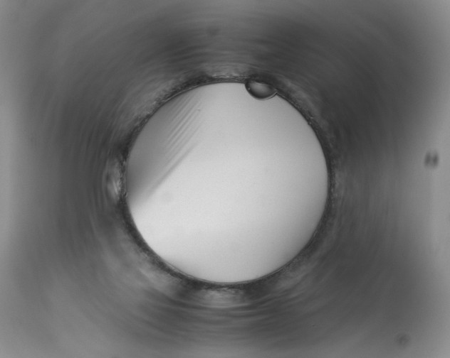 X0000114010069200910231824