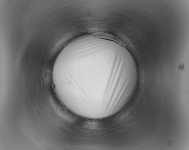 X0000114010071200910231824