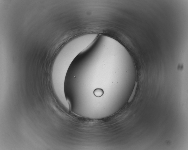 X0000114010072200910231824