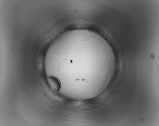 X0000114010074200910231824