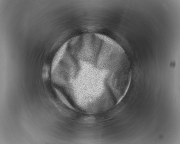 X0000114010075200910231824