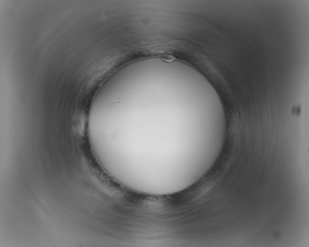 X0000114010076200910231824