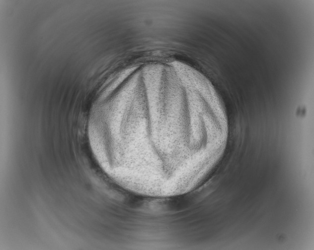 X0000114010078200910231824