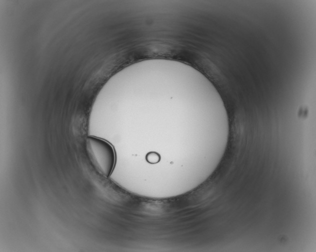 X0000114010079200910231824