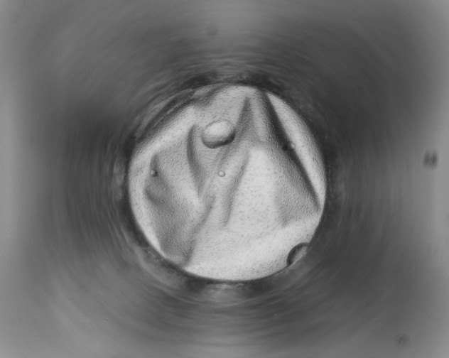 X0000114010082200910231824