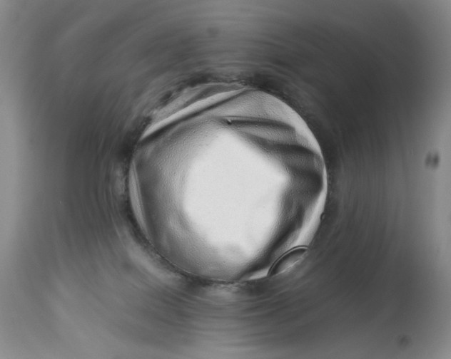 X0000114010086200910231824