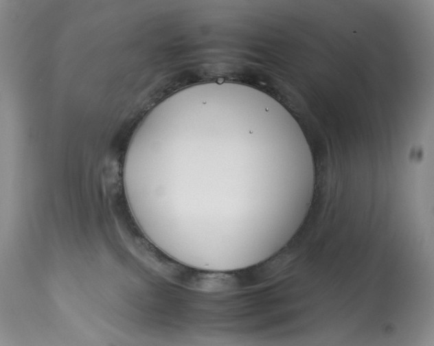 X0000114010087200910231824