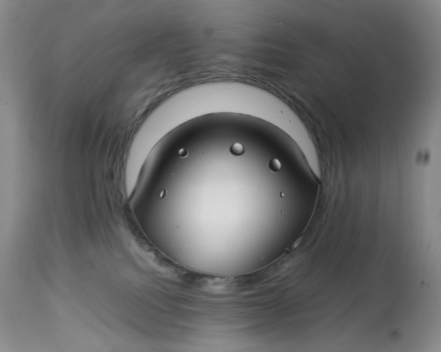 X0000114010088200910231824